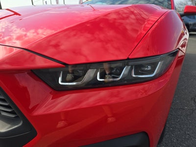 2025 Ford Mustang EcoBoost