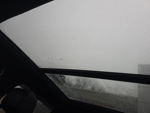 2024 Toyota Tundra 4WD 4WD TRD Pro Hybrid CrewMax 5.5' Bed (Natl)