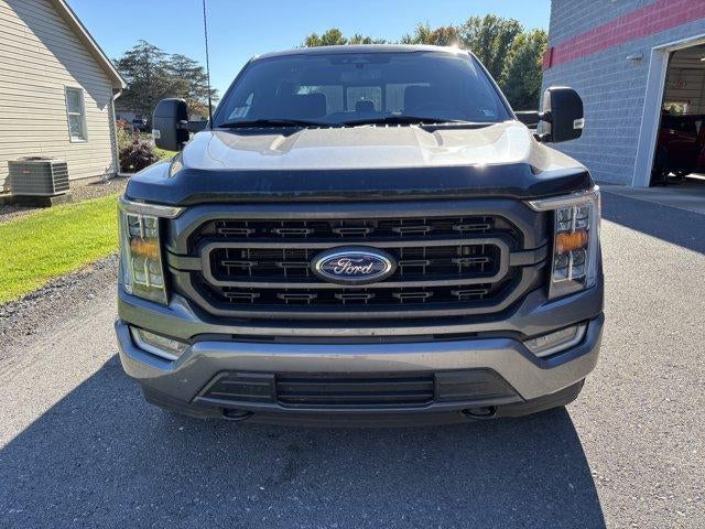 2023 Ford F-150 XLT 4WD SuperCrew 5.5' Box