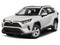 2019 Toyota RAV4 XLE Premium AWD (Natl)