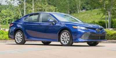 2019 Toyota Camry XLE Auto (SE)