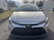 2024 Toyota Corolla LE CVT (Natl)