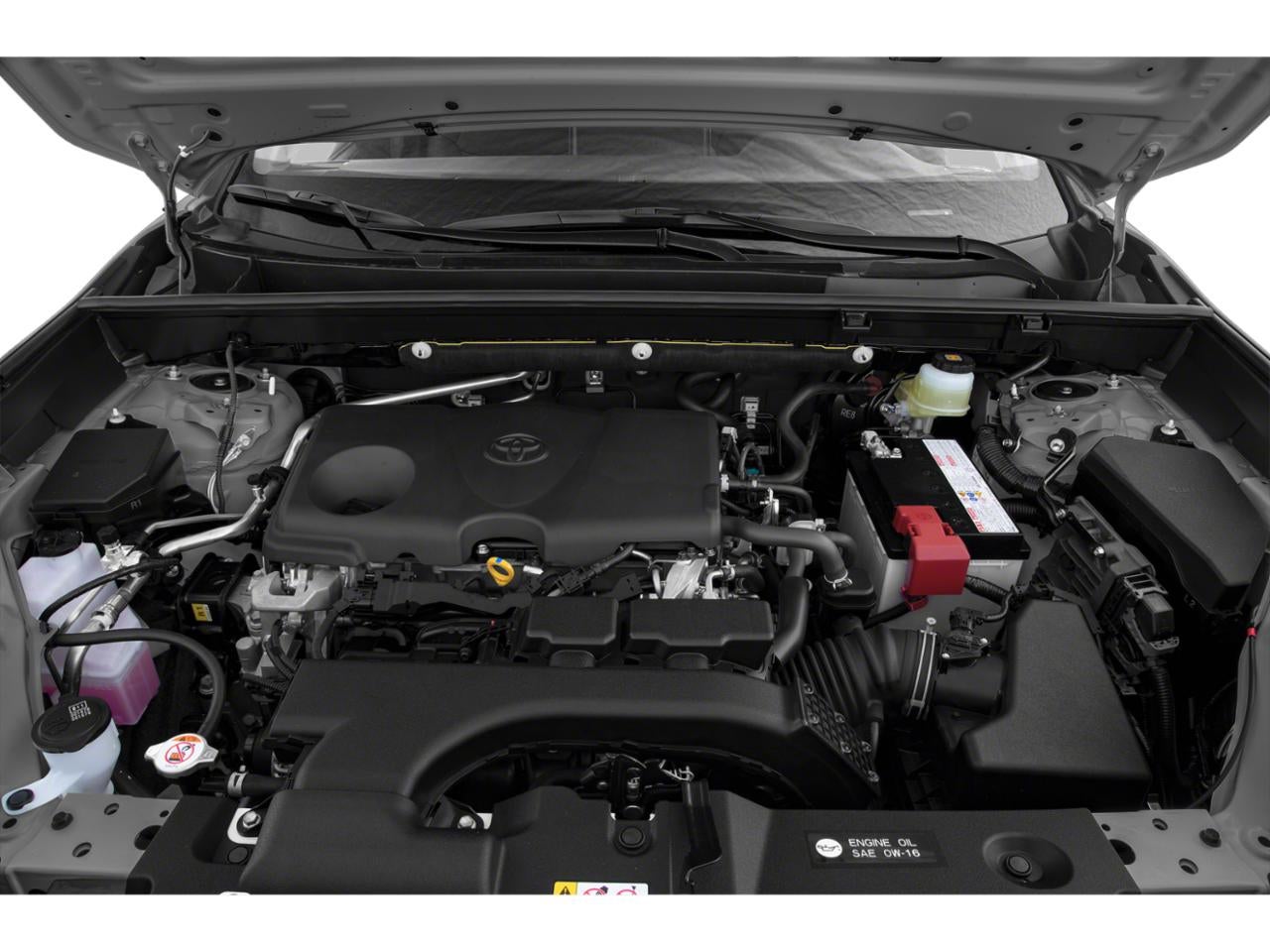 2019 Toyota RAV4 Limited AWD (GS)