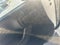 2016 Jeep Wrangler 4WD 2dr Willys Wheeler