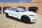 2023 Ford Mustang Mach-E California Route 1 AWD