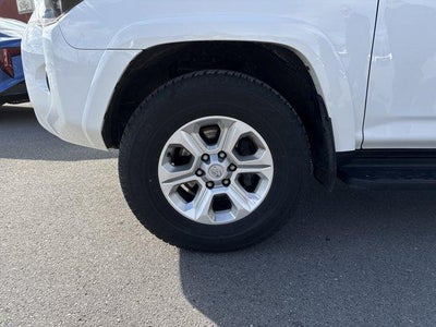 2024 Toyota 4Runner SR5 Premium 4WD (Natl)