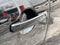 2022 Nissan Frontier Crew Cab 4x4 SV Auto Long Bed
