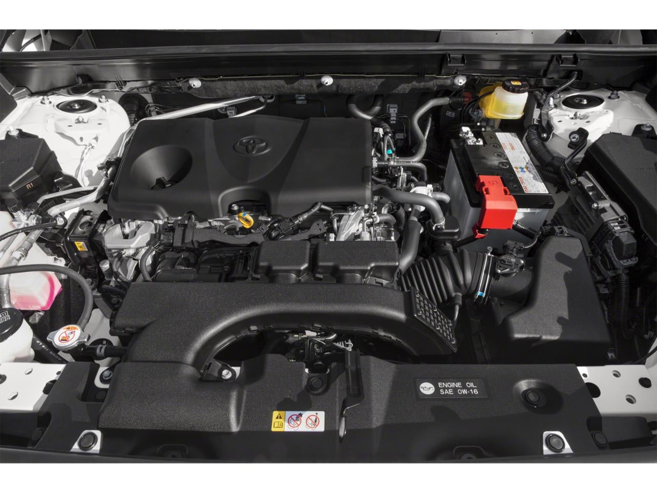 2019 Toyota RAV4 XLE AWD (Natl)