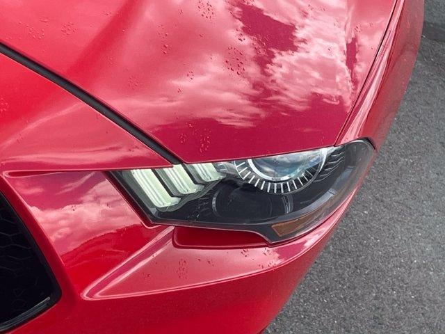 2019 Ford Mustang GT Premium Fastback