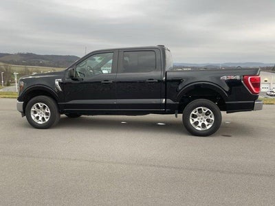 2023 Ford F-150 XLT 4WD SuperCrew 5.5' Box