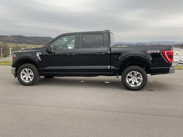 2023 Ford F-150 XLT 4WD SuperCrew 5.5' Box