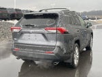 2023 Toyota RAV4 XLE Premium AWD (Natl)