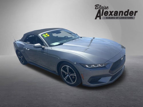 2025 Ford Mustang EcoBoost Premium Convertible