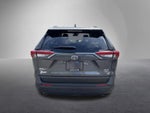 2024 Toyota RAV4 XLE AWD (Natl)