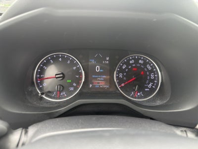 2019 Toyota RAV4 XLE AWD (Natl)
