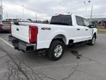 2025 Ford Super Duty F-250 SRW XLT 4WD Crew Cab 6.75' Box