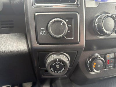 2019 Ford F-150 XLT 4WD SuperCrew 5.5' Box