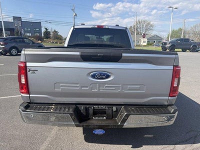 2023 Ford F-150 XL 4WD SuperCrew 5.5' Box