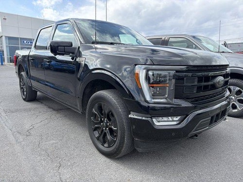 2023 Ford F-150 Platinum 4WD SuperCrew 5.5' Box