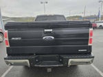 2014 Ford F-150 4WD SuperCrew 5-1/2 Ft Box XLT
